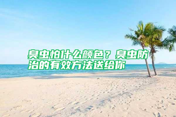 臭虫怕什么颜色？臭虫防治的有效方法送给你