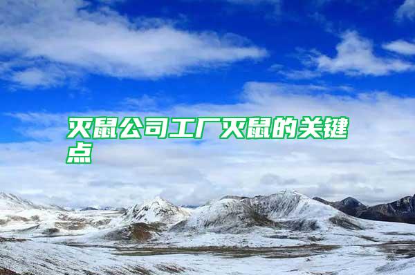 灭鼠公司工厂灭鼠的关键点