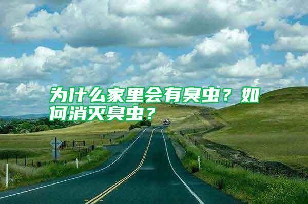 为什么家里会有臭虫？如何消灭臭虫？