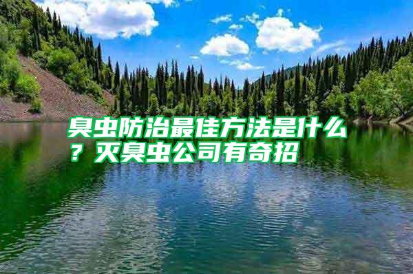 臭虫防治最佳方法是什么？灭臭虫公司有奇招