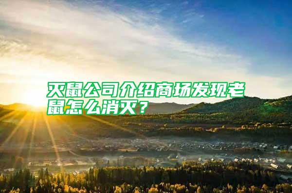 灭鼠公司介绍商场发现老鼠怎么消灭?