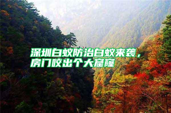 深圳白蚁防治白蚁来袭，房门咬出个大窟窿