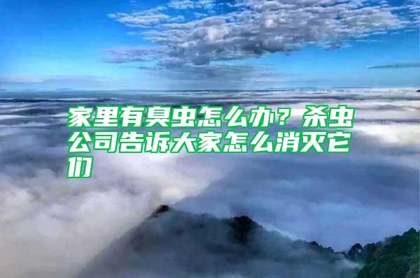 家里有臭虫怎么办？杀虫公司告诉大家怎么消灭它们