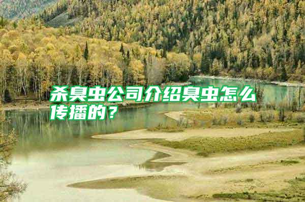 杀臭虫公司介绍臭虫怎么传播的？