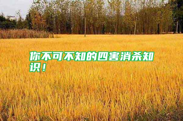 你不可不知的四害消杀知识！