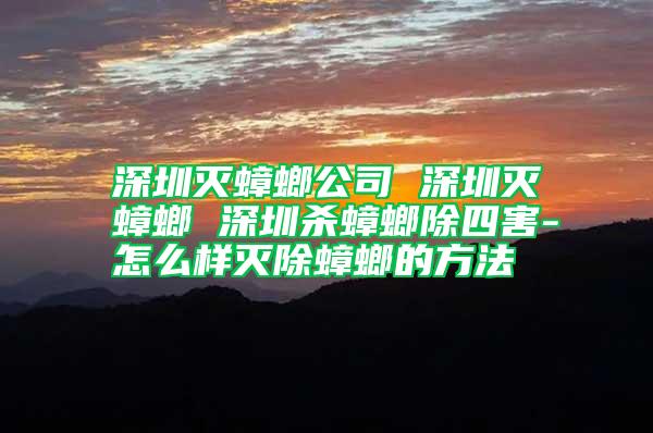 深圳灭蟑螂公司 深圳灭蟑螂 深圳杀蟑螂除四害-怎么样灭除蟑螂的方法
