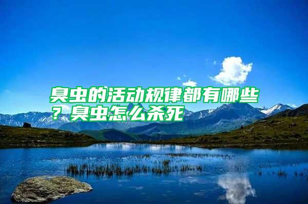 臭虫的活动规律都有哪些?臭虫怎么杀死