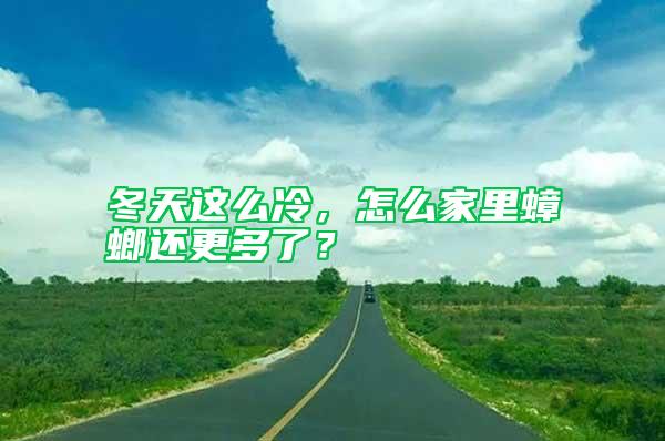 冬天这么冷，怎么家里蟑螂还更多了？
