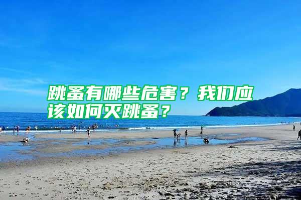 跳蚤有哪些危害？我们应该如何灭跳蚤？