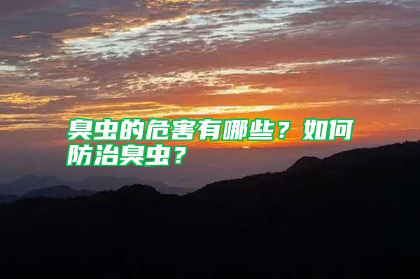 臭虫的危害有哪些？如何防治臭虫？