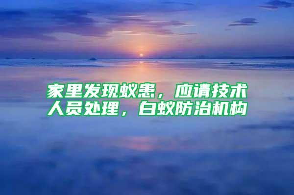 家里发现蚁患，应请技术人员处理，白蚁防治机构