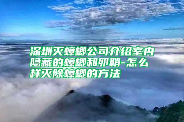 深圳灭蟑螂公司介绍室内隐藏的蟑螂和卵鞘-怎么样灭除蟑螂的方法