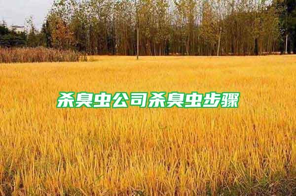 杀臭虫公司杀臭虫步骤