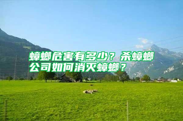 蟑螂危害有多少？杀蟑螂公司如何消灭蟑螂？