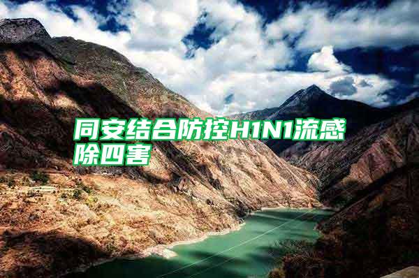 同安结合防控H1N1流感除四害