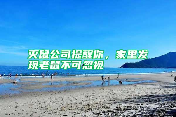 灭鼠公司提醒你，家里发现老鼠不可忽视