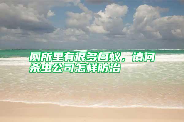 厕所里有很多白蚁，请问杀虫公司怎样防治