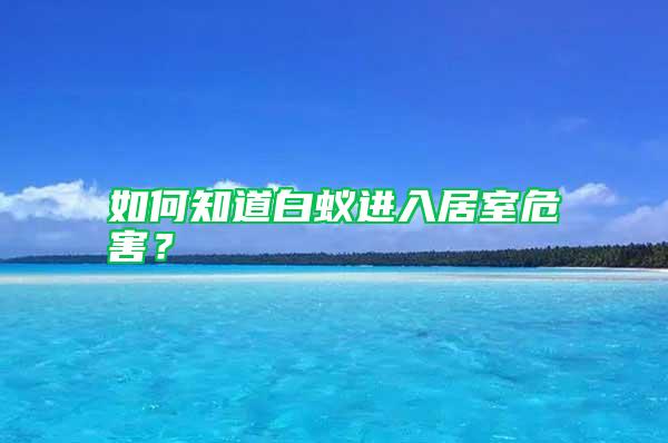 如何知道白蚁进入居室危害？