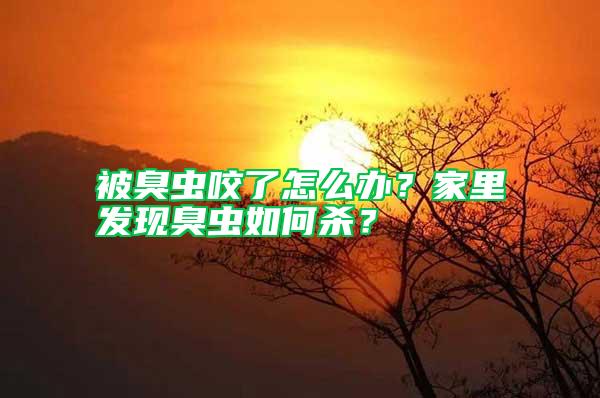 被臭虫咬了怎么办？家里发现臭虫如何杀？