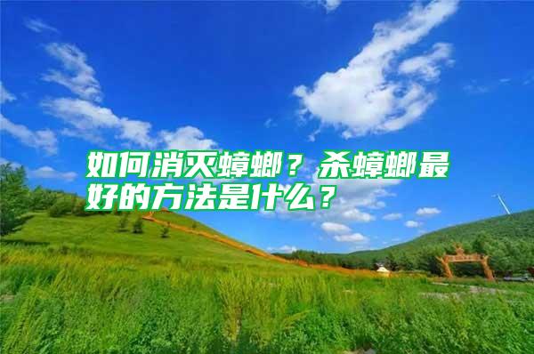 如何消灭蟑螂?杀蟑螂最好的方法是什么?