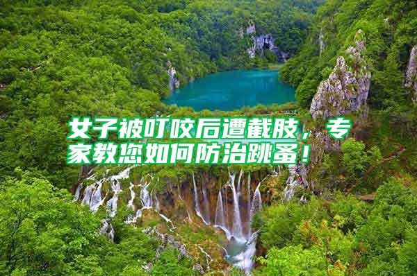 女子被叮咬后遭截肢，专家教您如何防治跳蚤！