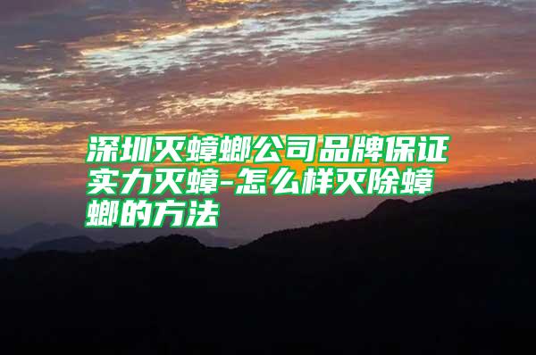 深圳灭蟑螂公司品牌保证实力灭蟑-怎么样灭除蟑螂的方法