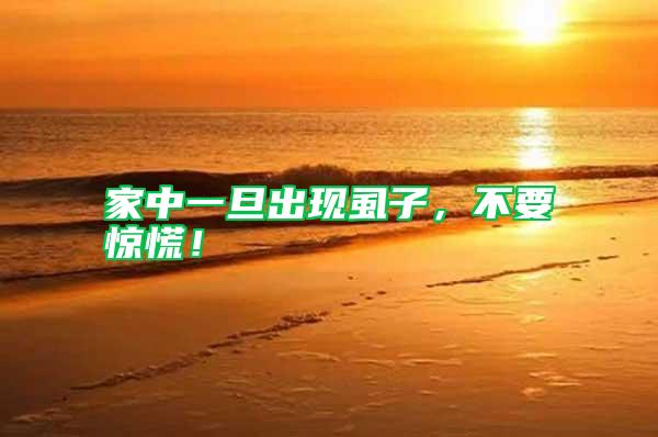 家中一旦出现虱子，不要惊慌！