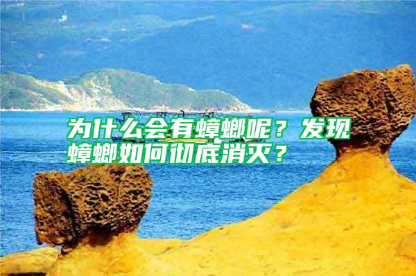 为什么会有蟑螂呢？发现蟑螂如何彻底消灭？