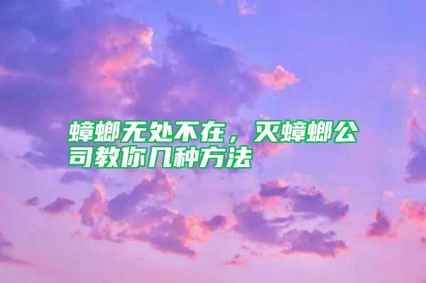 蟑螂无处不在，灭蟑螂公司教你几种方法