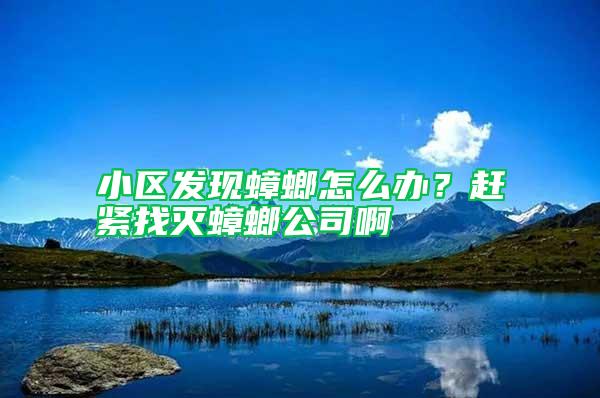 小区发现蟑螂怎么办？赶紧找灭蟑螂公司啊