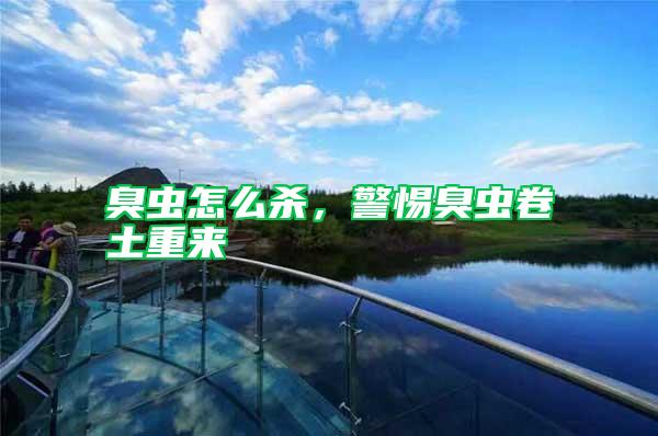 臭虫怎么杀，警惕臭虫卷土重来