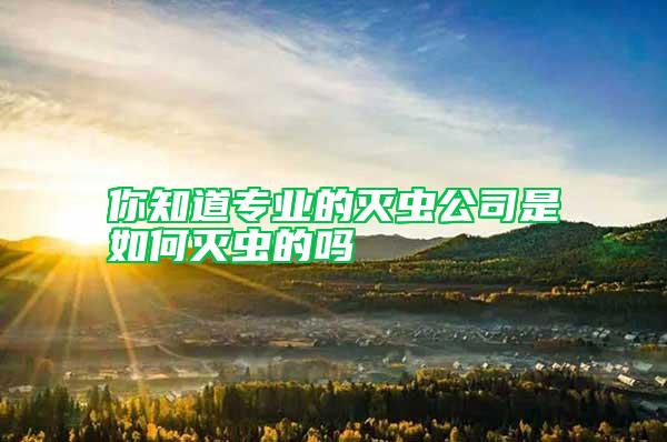 你知道专业的灭虫公司是如何灭虫的吗