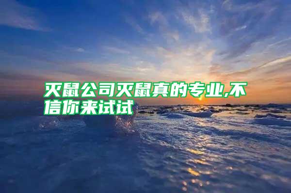 灭鼠公司灭鼠真的专业,不信你来试试