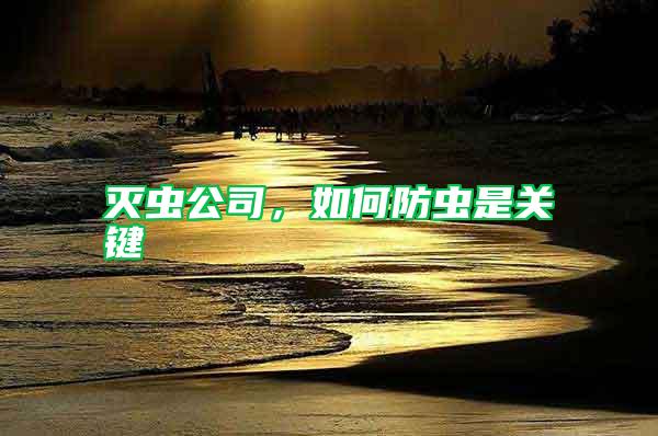灭虫公司，如何防虫是关键
