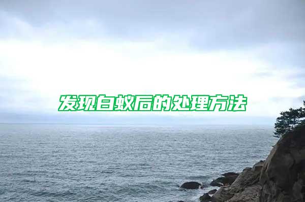 发现白蚁后的处理方法