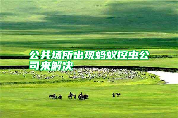 公共场所出现蚂蚁控虫公司来解决