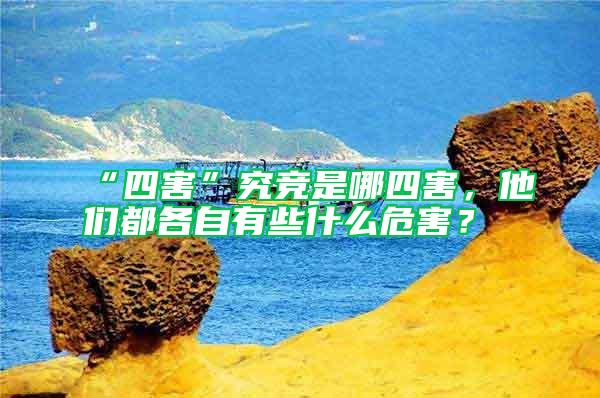 “四害”究竞是哪四害，他们都各自有些什么危害？