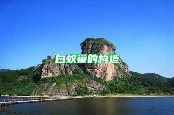 白蚁巢的构造