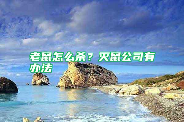 老鼠怎么杀？灭鼠公司有办法