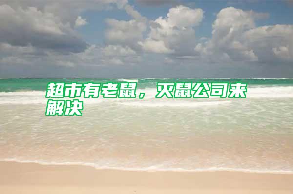 超市有老鼠，灭鼠公司来解决