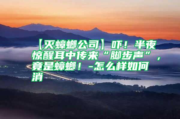 【灭蟑螂公司】吓！半夜惊醒耳中传来“脚步声”，竟是蟑螂！-怎么样如何消