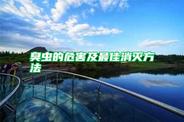 臭虫的危害及最佳消灭方法