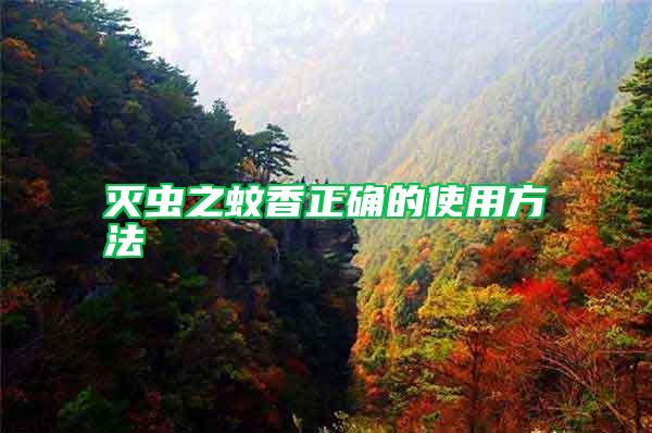灭虫之蚊香正确的使用方法