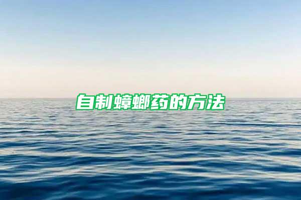 自制蟑螂药的方法