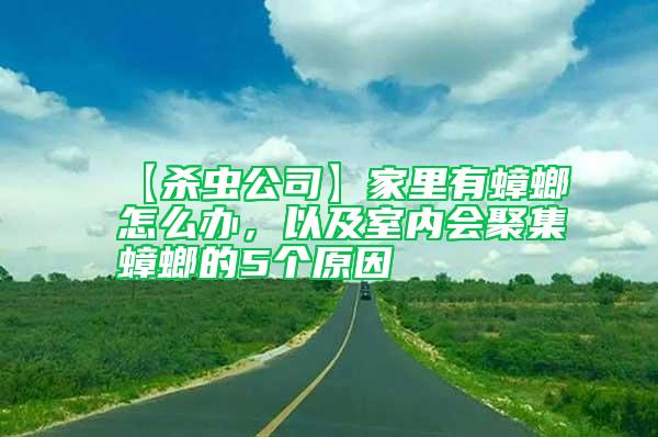 【杀虫公司】家里有蟑螂怎么办，以及室内会聚集蟑螂的5个原因
