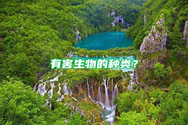 有害生物的种类？