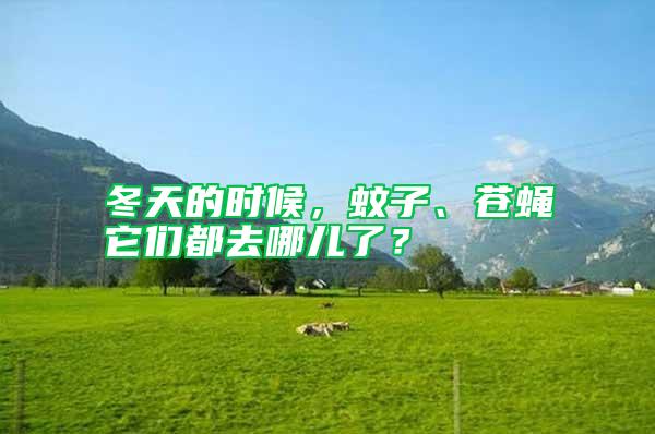 冬天的时候，蚊子、苍蝇它们都去哪儿了？