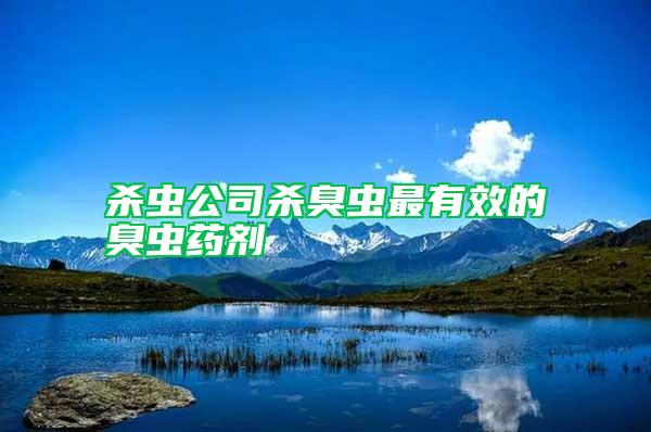 杀虫公司杀臭虫最有效的臭虫药剂