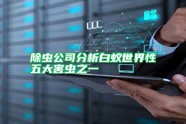 除虫公司分析白蚁世界性五大害虫之一