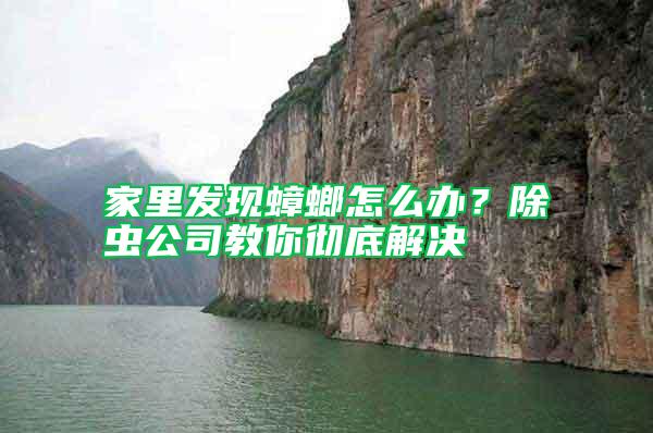 家里发现蟑螂怎么办？除虫公司教你彻底解决